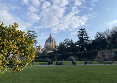 Blick aus den Vatikanischen Gärten auf die Kuppel des Petersdoms in Rom