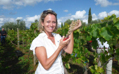 Die Magie der Weinlese in den Castelli Romani